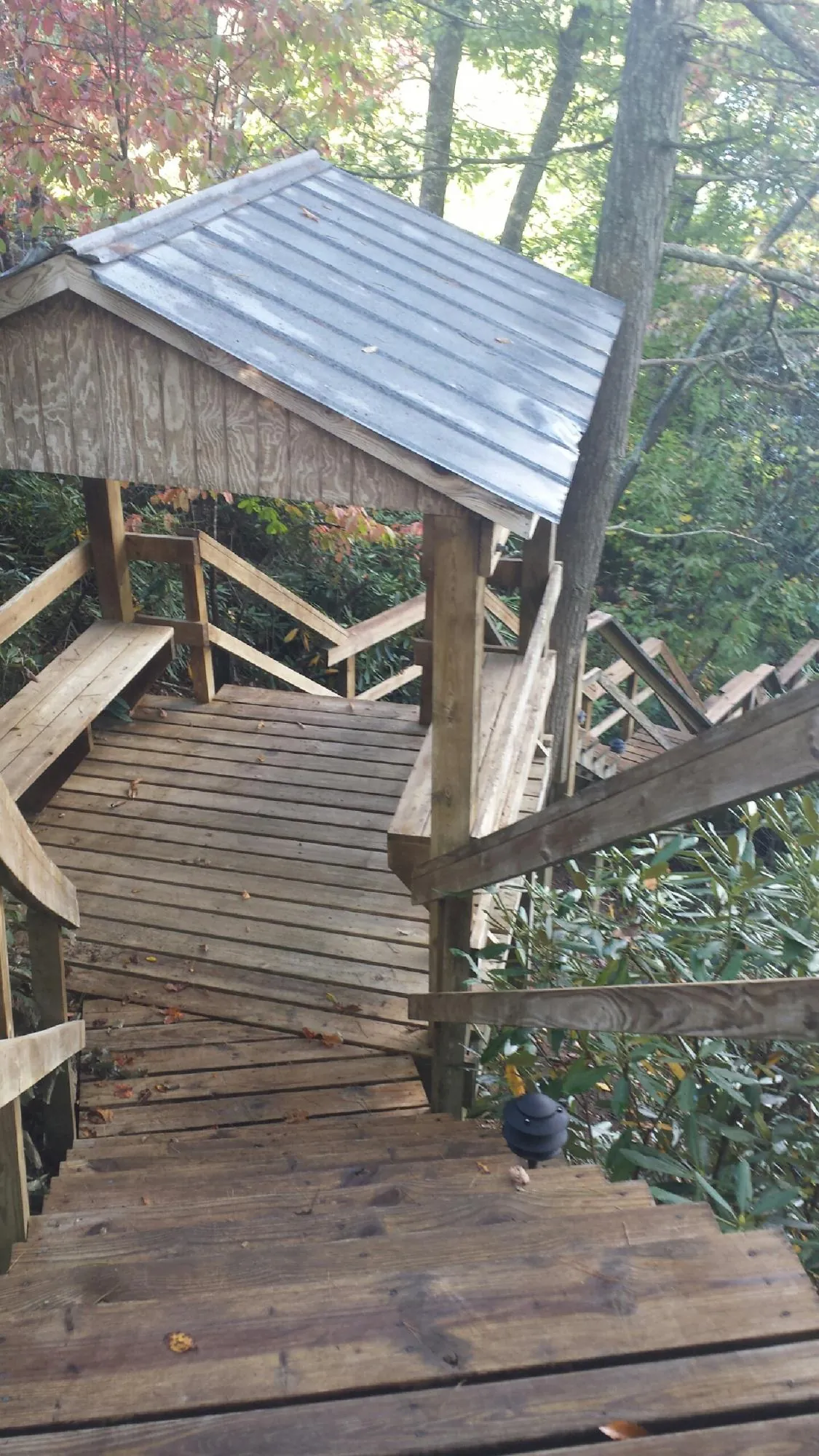 Metal roofed shelter over wooden steps on a wooded walkway — Skylight Repair & Installation work by our crew in Mc Cool Junction