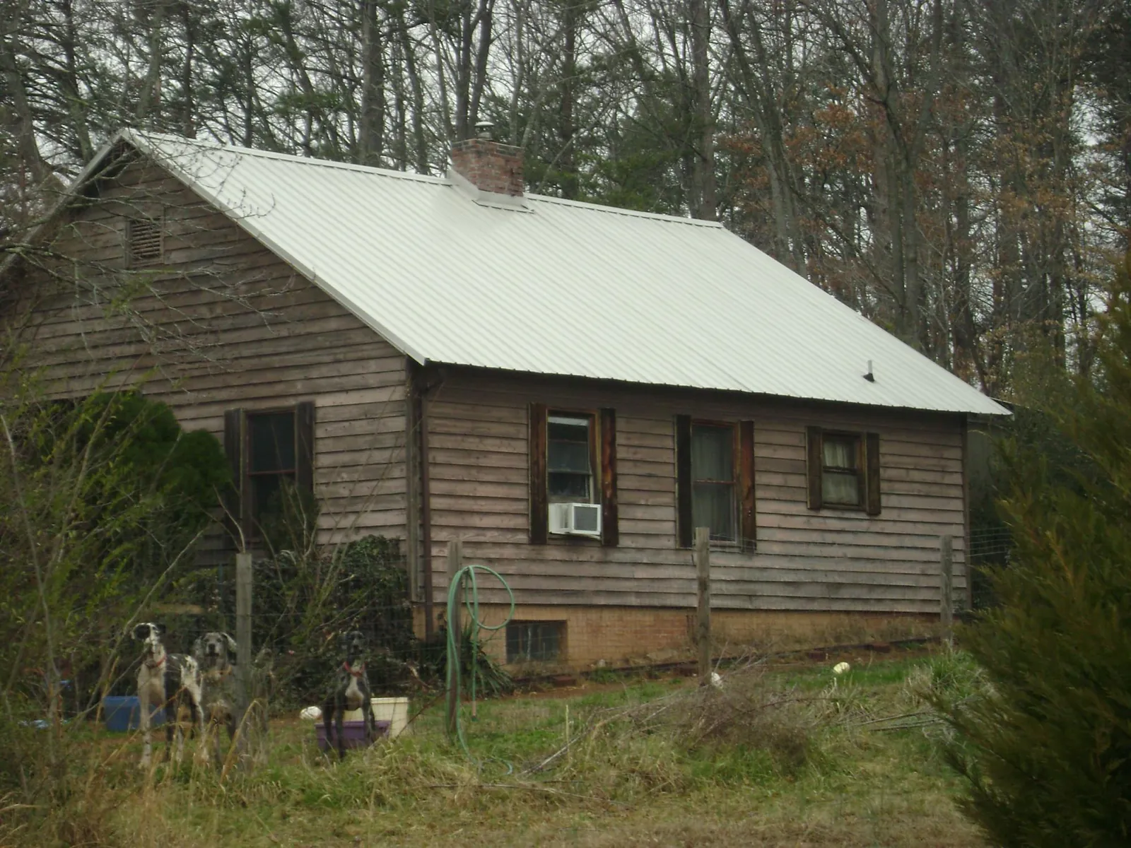 White metal roof on an old wood sided farmhouse, from a Asphalt Shingle Roof Repair job in Mc Cool Junction